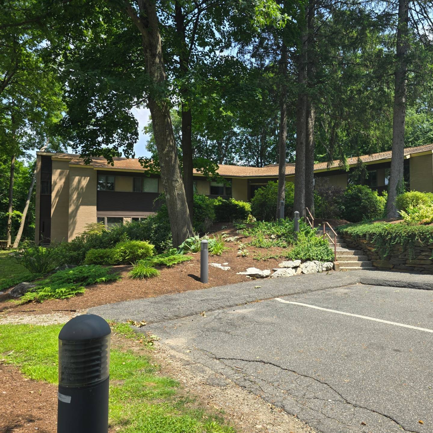 Outstanding Commercial Roof Cleaning in Pittsfield, MA