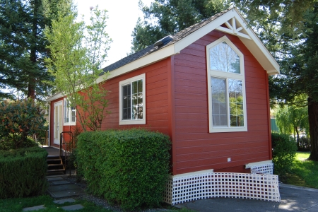 Cedar siding restoration